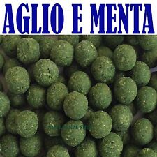 Boilies pesca boiles usato  Terni