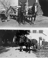 Lote de 2 fotos vintage vida agrícola trabalho cavalo equipe puxando arado reboque cachorro comprar usado  Enviando para Brazil