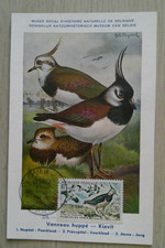 Carte jour 1960 d'occasion  Prunelli-di-Fiumorbo