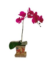 Pink orchid oriental for sale  Broken Arrow