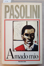 Pier paolo pasolini usato  Italia