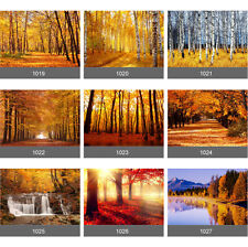 Wandbild wald herbst gebraucht kaufen Wandbild wald herbst gebraucht kaufen  Versand nach Germany