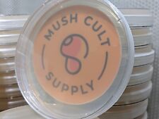 Mushroom agar plates for sale  Evington