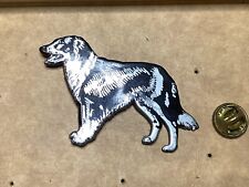 Pins border collie d'occasion  La Crau