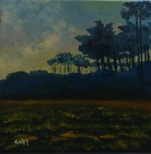 Paysage huile crépuscule d'occasion  Mimizan
