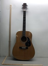 Burswood dreadnought acoustic for sale  Cleveland