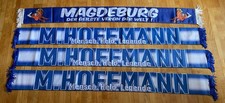 Magdeburg fan schals gebraucht kaufen  Allenfeld, Boos, Hargesheim
