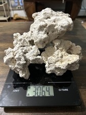 saltwater aquarium for sale  Exeter