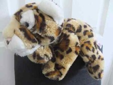 Leopard cheetah cat for sale  LEICESTER