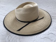 Sunbody palm leaf for sale  Littleton