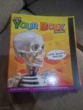 Body works billie for sale  MARKET RASEN