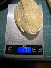 1201g burmese natural for sale  Glen Oaks