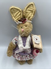 Emily boyds rabbit for sale  Unityville