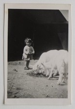 Fille chèvres blanches d'occasion  Rouen-