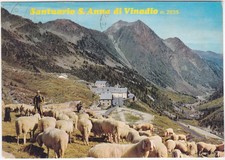 Anna vinadio cuneo usato Anna vinadio cuneo usato  Italia