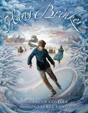 Hans brinker hardcover for sale  Mishawaka