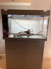 Juwel rio 125l for sale  LEIGHTON BUZZARD