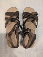 Payless shoe predictions for sale  Camas