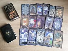 Tarot familiars rakel gebraucht kaufen  Augsburg