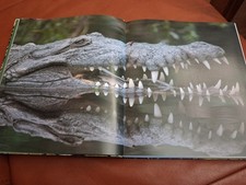 Fachbuch krokodile expeditione gebraucht kaufen  Lüchow