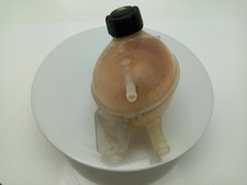 Renault clio radiator for sale Renault clio radiator for sale  SOUTHAMPTON