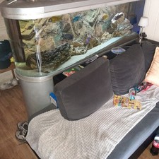 Aquarium 500 unterschrank gebraucht kaufen  Rheine