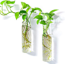 Wall mounted plant d'occasion  Expédié en France