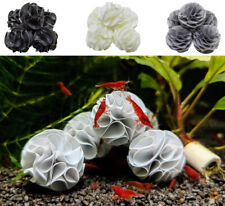 Baby shrimp shelter gebraucht kaufen  Altheim