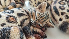 Ceramica collezione. gatto usato  Roseto Degli Abruzzi