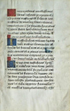 Ca.1500 boh.manuscript lf.vell for sale  Escondido