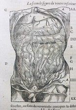 Gastro entérologie 1585 d'occasion  Tuchan