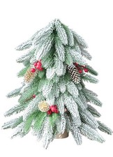 Small christmas tree for sale  Olive Hill