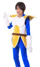 Fantasia Cosplay Dragon Ball Z Príncipe de Todos os Saiyajins Vegeta Uniforme de Luta V1 comprar usado Fantasia Cosplay Dragon Ball Z Príncipe de Todos os Saiyajins Vegeta Uniforme de Luta V1 comprar usado  Enviando para Brazil