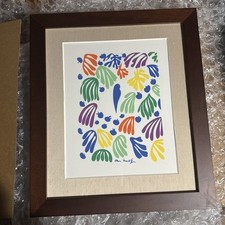 Henri matisse parakeet for sale  Gainesville