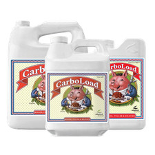 Advanced nutrients carboload gebraucht kaufen  Herzogenrath