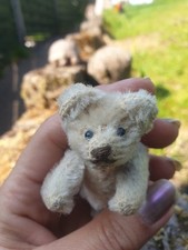 antique steiff teddy bears for sale antique steiff teddy bears for sale DUMFRIES