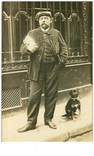 Chiens. 35.teckels.homme chien d'occasion  France