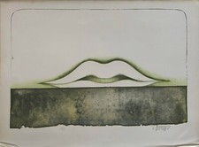 Bruno bruni litografia usato  Buggiano
