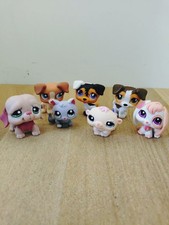 pet shops for sale  LEATHERHEAD