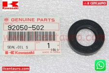 92050 502 paraolio usato  Sorrento