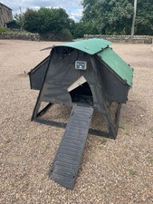 Green frog large for sale  SHEFFIELD