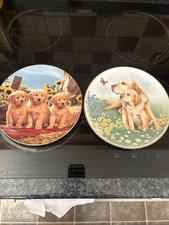 Collectors labrador plates for sale  SUNBURY-ON-THAMES