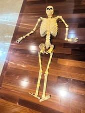 Lit Mr. Bones - Celeiro de cerâmica tamanho completo esqueleto iluminado Halloween Williams sono comprar usado Lit Mr. Bones - Celeiro de cerâmica tamanho completo esqueleto iluminado Halloween Williams sono comprar usado  Enviando para Brazil