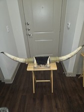 Longhorn mount for sale  Dallas
