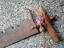 Antique logging tree for sale  Puyallup