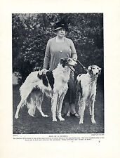 Borzoi duchess newcastle for sale  COLEFORD