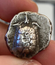Aegina stater tortoise for sale  Mineola
