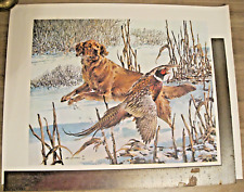 Vintage amundsen print for sale  Normal