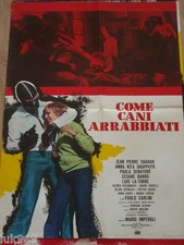 Come cani arrabbiati usato  Roma