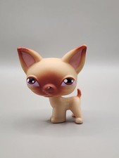 lps chihuahua for sale  Chicago